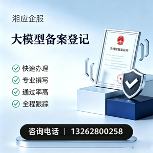 大模型备案申报服务
