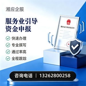 服务业引导资金申报服务