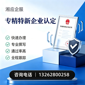专精特新企业申报服务