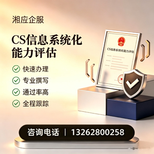 CS信息系统化能力评估申报服务