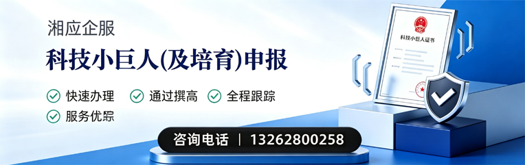 昆明科技小巨人及培育企业申报服务