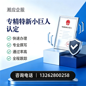 专精特新小巨人申报服务