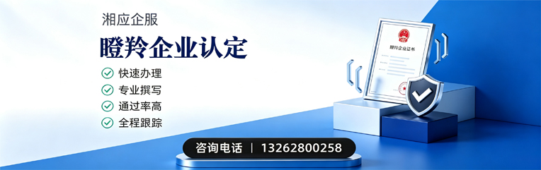 宁夏瞪羚企业认定申报服务