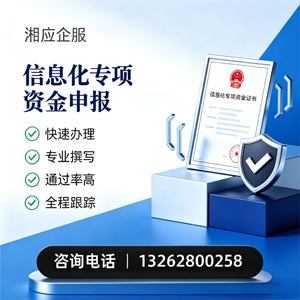 信息化专项资金申报服务