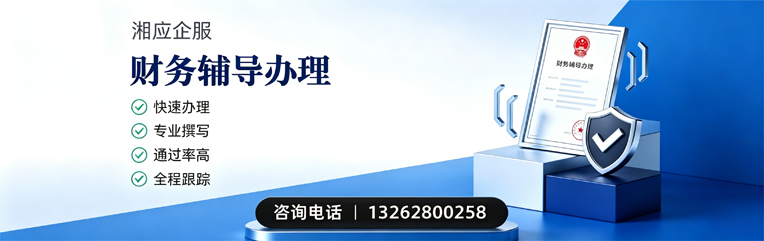遂宁财务辅导申请服务