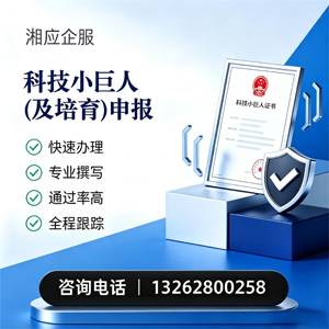 科技小巨人及培育企业申报服务