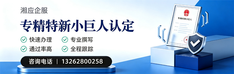 甘肃专精特新小巨人申报服务